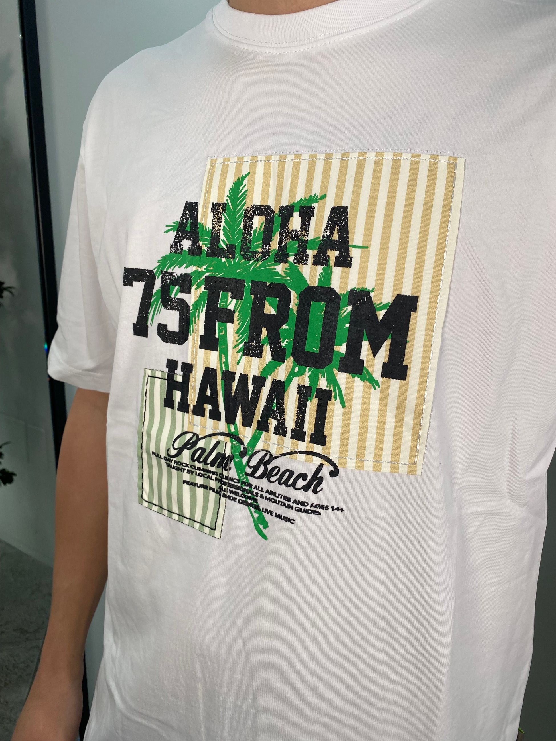 T-SHIRT IN 100% COTONE STAMPA HAWAII - REGULAR FIT GL646W