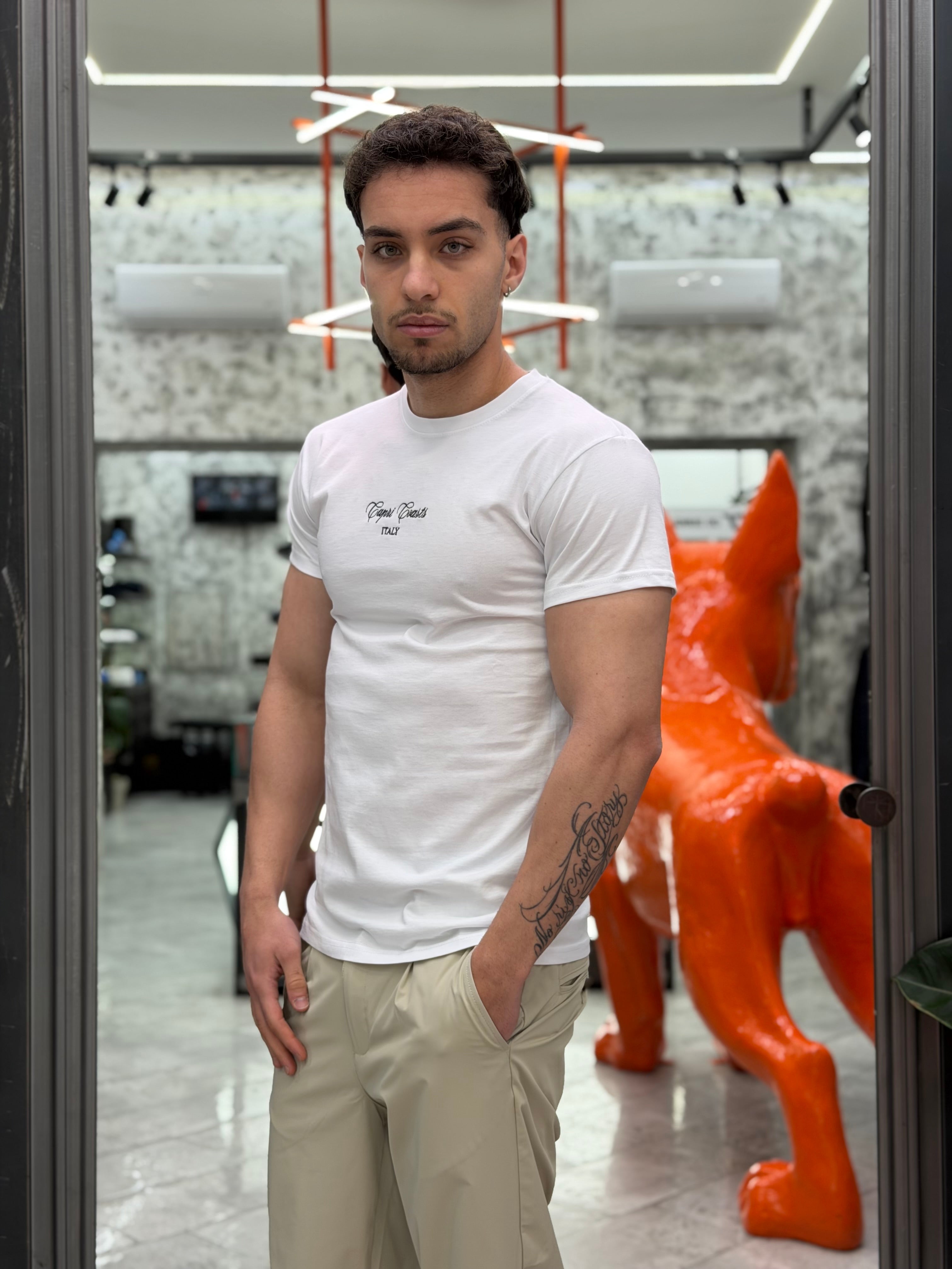 T-SHIRT IN PURO COTONE CON RICAMO E MAXI STAMPA CAPRI - REGULAR FIT M-261159