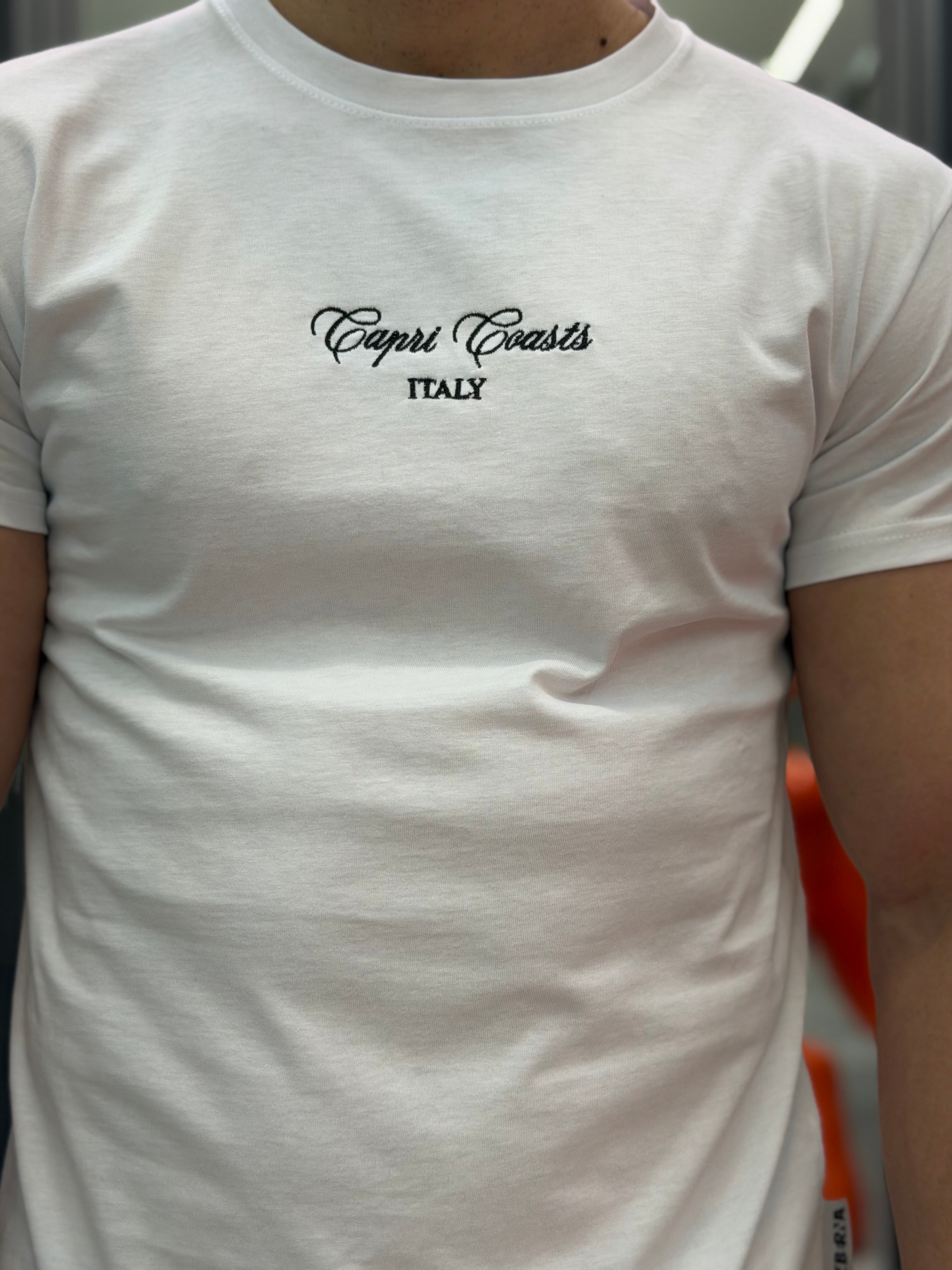 T-SHIRT IN PURO COTONE CON RICAMO E MAXI STAMPA CAPRI - REGULAR FIT M-261159
