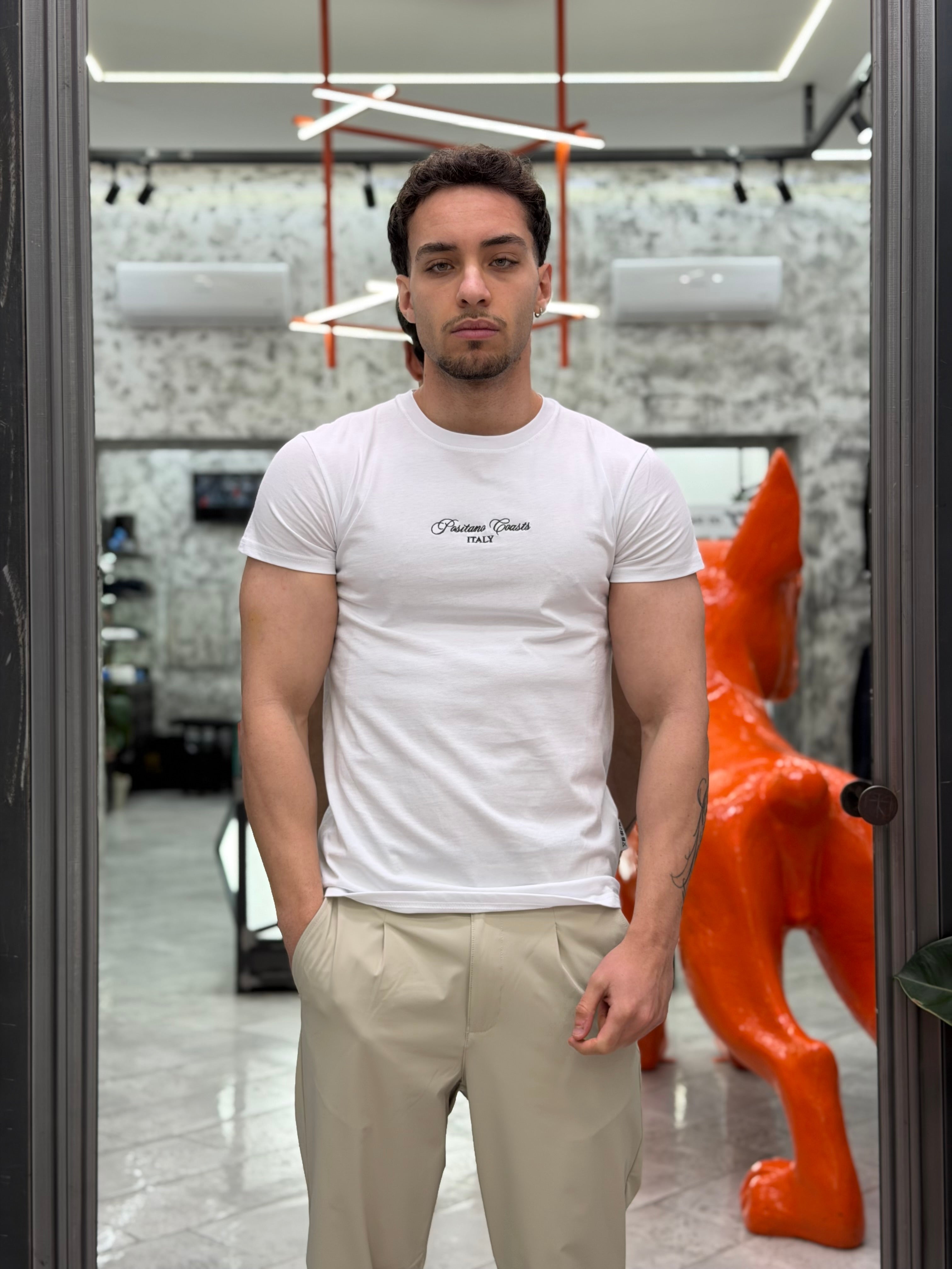 T-SHIRT CON RICAMO E MAXI STAMPA POSITANO COASTS - REGULAR FIT M-261079
