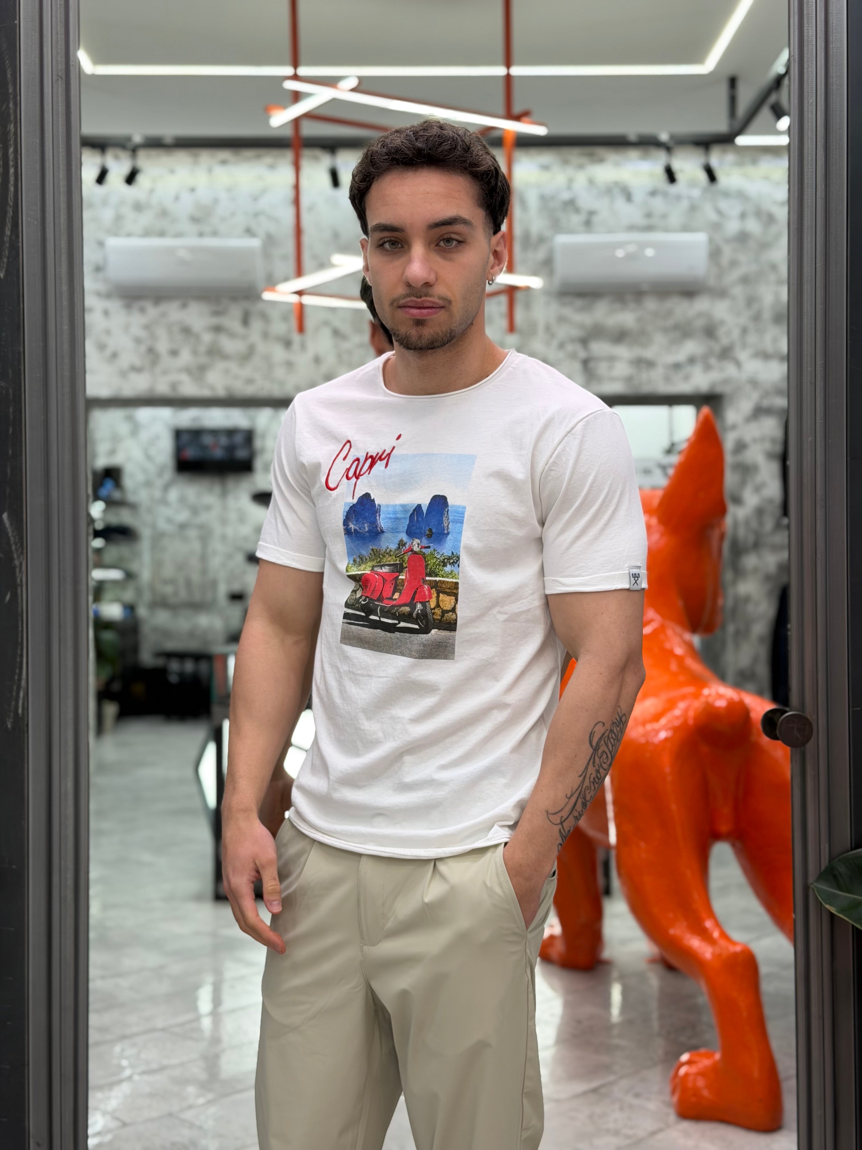 T-SHIRT IN PURO COTONE CON RICAMO E MAXI STAMPA CAPRI - REGULAR FIT M-261157